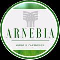 Logo saluran telegram arnebiaofficial — Arnebia_official