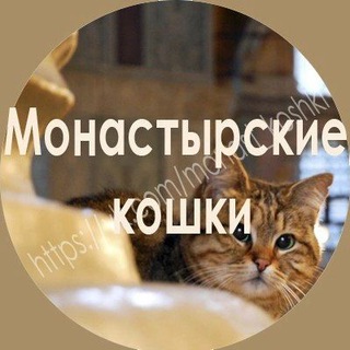 Логотип телеграм канала @arsenia2022 — "Монастырские кошки"