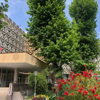 Логотип телеграм канала @art_of_sochi — Сочинский колледж искусств