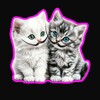 Логотип телеграм канала @art_kittens — Котята Dali