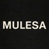 Логотип телеграм канала @art_mulesa — mulesa