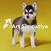 Логотип телеграм канала @art_simpatiya — ПИТОМНИК: Аляскинский Кли Кай (мини-хаски) • Шпиц • Цвергпинчер • Корги