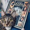 Логотип телеграм канала @artcatbaron — Кот Искусства