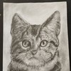 Логотип телеграм канала @artcreationmisha — Мое творчество 😉