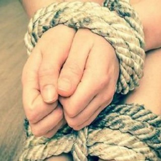 Логотип телеграм канала @artemisia_vulgaris — Нижняя из провинции 18 