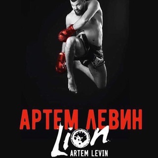 Логотип телеграм канала @artemlionlevin — Artem LION Levin 🦁🏅🏆⭐️
