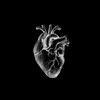 Telegram kanalining logotibi arteriya_17 — •𝑨𝑹𝑻𝑬𝑹𝑰𝒀𝑨🫀