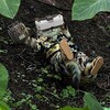 Логотип телеграм канала @artillerie_truppen — -