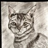 Логотип телеграм канала @artpaintingsz — Мое творчество / Арт