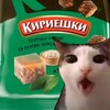 Логотип телеграм канала @arttighaos — Кириешки|Факты