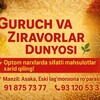 Telegram channel Guruch🌾markazi🇺🇿 logo