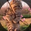 Логотип телеграм канала @asbirtanil — покой души.