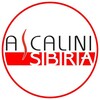 Логотип телеграм канала @ascalinisib — Ascalini Siberia