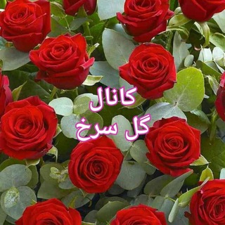 لوگوی کانال تلگرام asharegolesorkh — گل سرخ