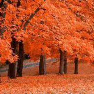 لوگوی کانال تلگرام asheghanehayekaghazi — عاشقانه های کاغذی