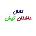 Logo saluran telegram asheghankish — کانال عاشقان کیش