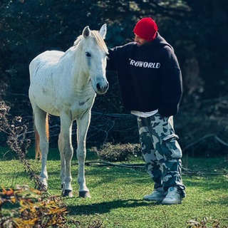 لوگوی کانال تلگرام ashi_ley — 𝕒𝕤𝕙𝕚🤍𝕝𝕖𝕪