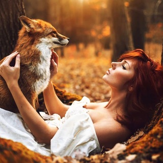 Логотип телеграм канала @ashleyfxanimalsfeed — 🐅 (Animals) Best of the Best