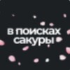 Логотип телеграм канала @asia_sakura — В поисках сакуры | Азия | Путешествия | Эстетика