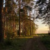 Логотип телеграм канала @asiatehp — Аськинсы💋