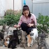 Логотип телеграм канала @asiatgazibegova05 — Ася и четвероногие 🐕🐈🦝