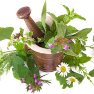 لوگوی کانال تلگرام askariworkshops_herbal — کارگاههای آموزشی تهیه فرآورده های آرایشی و بهداشتی گیاهی