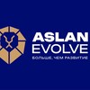 Логотип телеграм канала @aslanevolve — Aslan Evolve💡