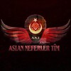 Telegram kanalının logosu aslanneferlertim — ASLAN NEFERLER TİM RESMİ KANALI