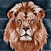Telegram channel Aslan Yuvası logo