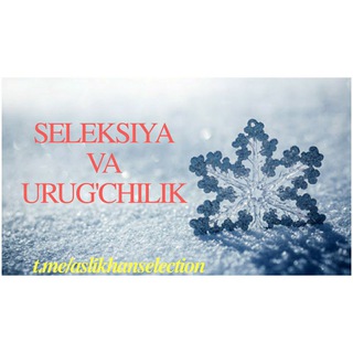 لوگوی کانال تلگرام aslikhanselection — 🌾𝐒𝐄𝐋𝐄𝐊𝐒𝐈𝐘𝐀 𝐕𝐀 𝐔𝐑𝐔𝐆'𝐂𝐇𝐈𝐋𝐈𝐊🌱