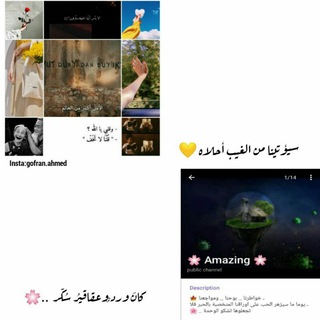 لوگوی کانال تلگرام asmo98 — 🌸 Amazing 🌸