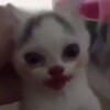 Логотип телеграм канала @asmrbtd — Asmr BTD / Асмр БТД