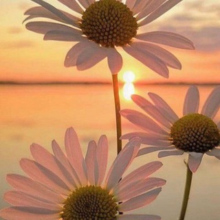 Логотип телеграм канала @asnbz9 — 𝐀𝑧 📸〆.