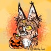 Логотип телеграм канала @asoka808 — Асока в тыкве 🎃