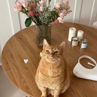 Логотип телеграм канала @asphodel001 — 𝐴𝑠𝑝ℎ𝑜𝑑𝑒𝑙