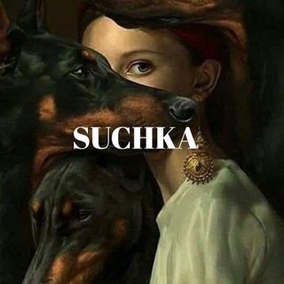 Логотип телеграм канала @assashiza — убежище princess