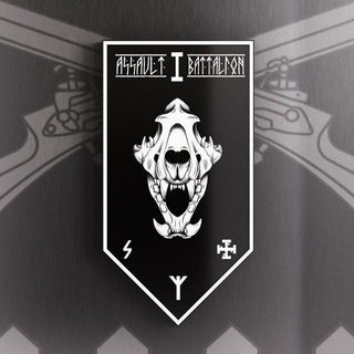 Логотип телеграм -каналу assault_battalion_1 — 1 ASSAULT BATTALION