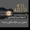 Logo saluran telegram assem7117 — [-" ألا بذكر الله تطمئن القلوب “̯ ﮰ