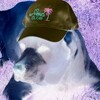 Telegram channel ФУТА_ПОНИ_СМЕШНЫЕ_МЕМЫ logo