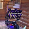 Логотип телеграм канала @assttreilov — ATSST