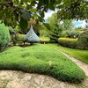 Логотип телеграм канала @astahov_topiary — Astahov_Topiary