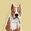 Logo of telegram channel astmike — 🔪ast.mike🐾