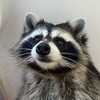 Логотип телеграм канала @asweday — ASWEDAY