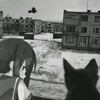 Логотип телеграм канала @asy_zdeniee1017 — twilight