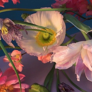 टेलीग्राम चैनल का लोगो asyaabzvlove — AsyaLoveee💘