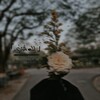 شعار قناة تلجرام athryr — 「 لِلٰـه أثٰـۦريٰۦ」