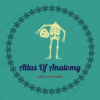 لوگوی کانال تلگرام atlasofanatomy — Atlas Of Anatomy | آموزش آناتومی