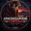 Логотип телеграм канала @ats777999 — Радар‼️Краснодарские Соколы. Оповещения по БПЛА‼️