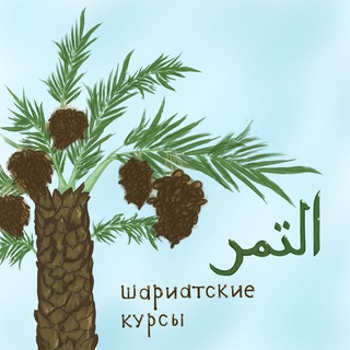 Логотип телеграм канала @attamr — Ат—Тамр: шариатские курсы