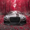 Логотип телеграм канала @audi_club2 — Ауди клуб | Audi club